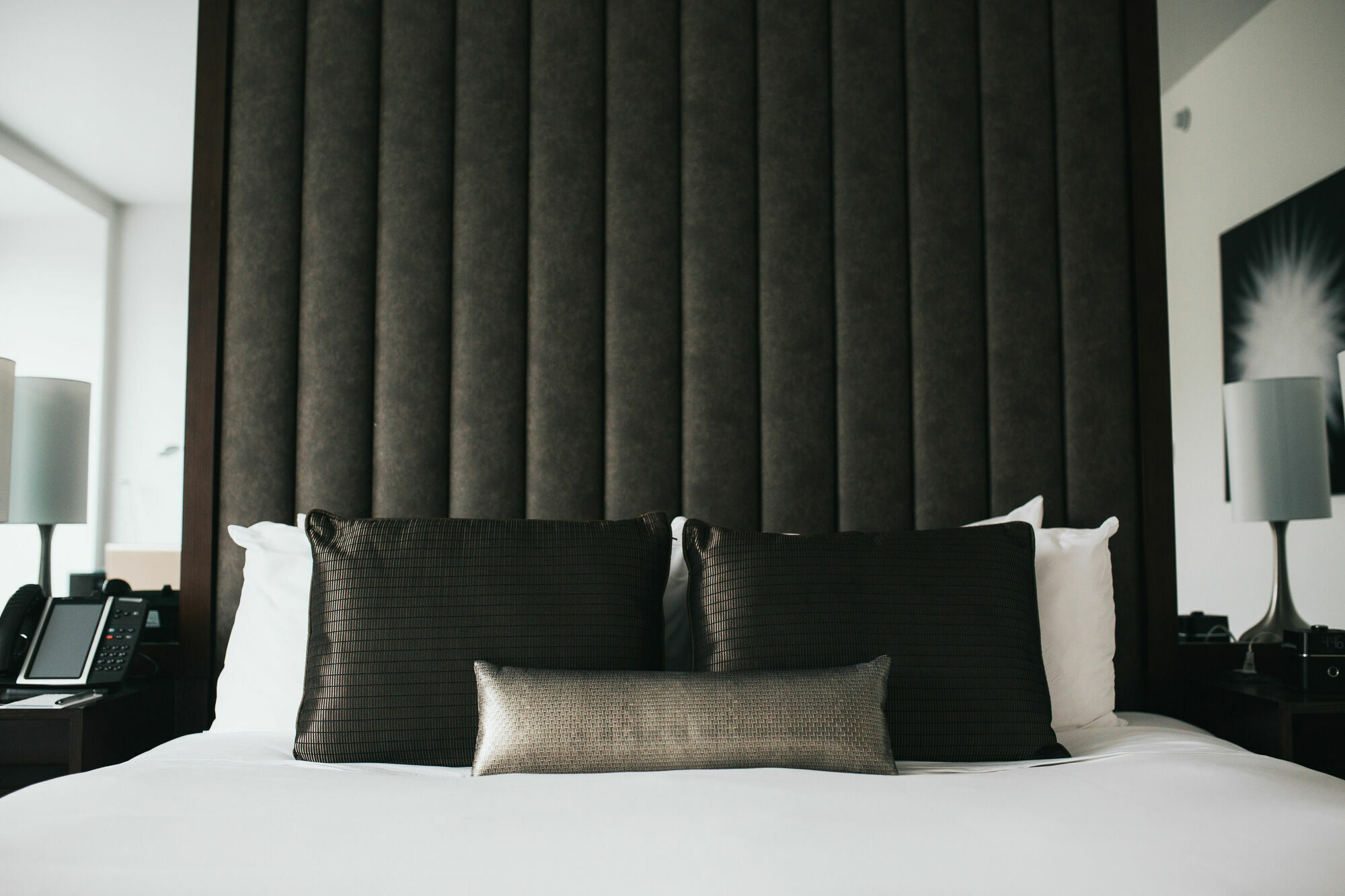 Graduate By Hilton Dallas Chambre photo